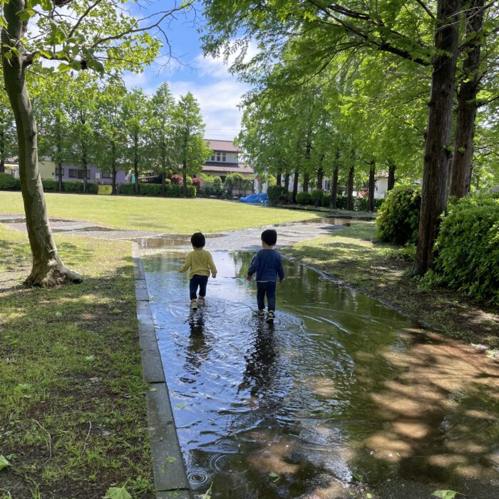 いっぱい降ったもんなぁ