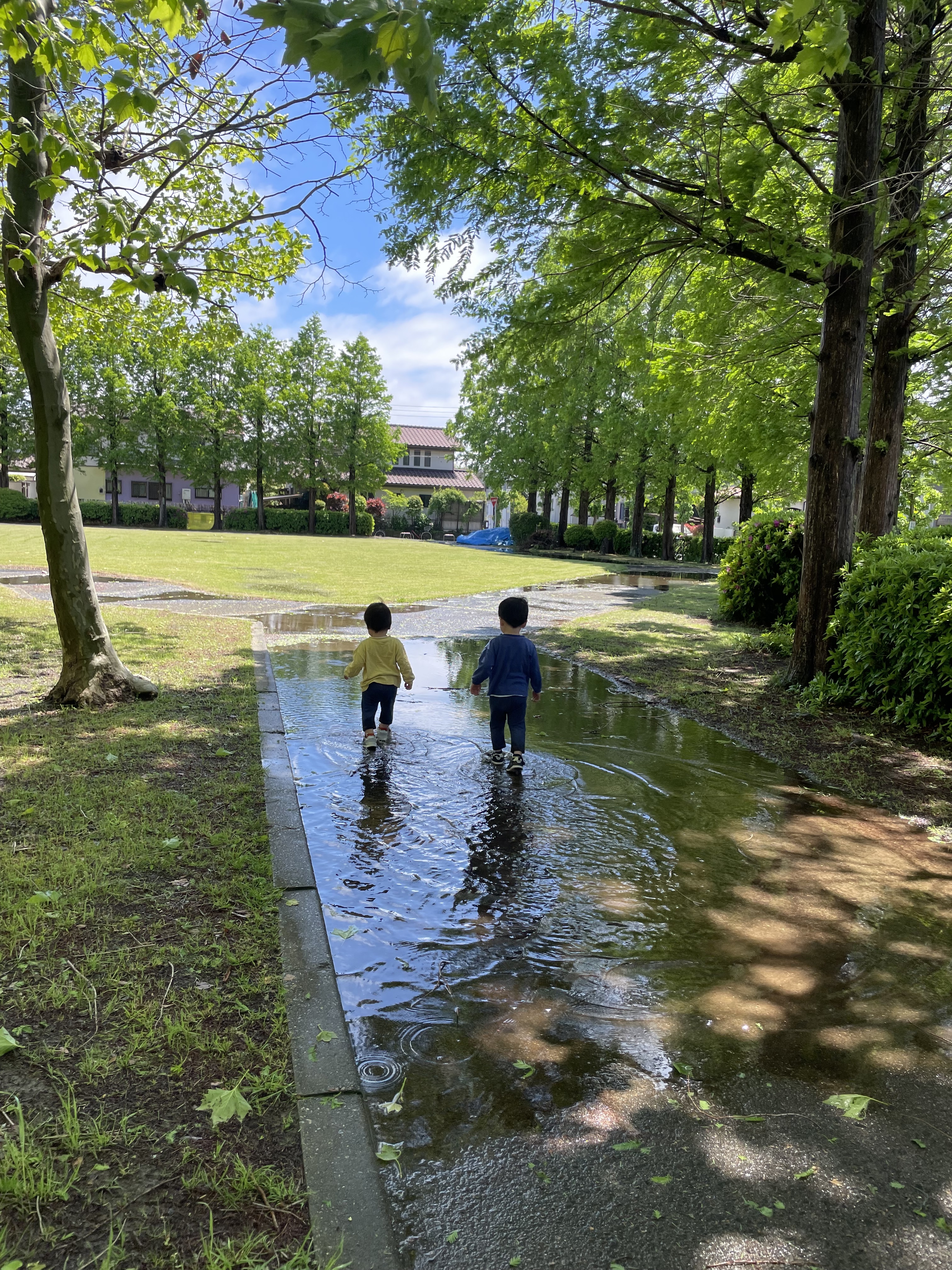 いっぱい降ったもんなぁ