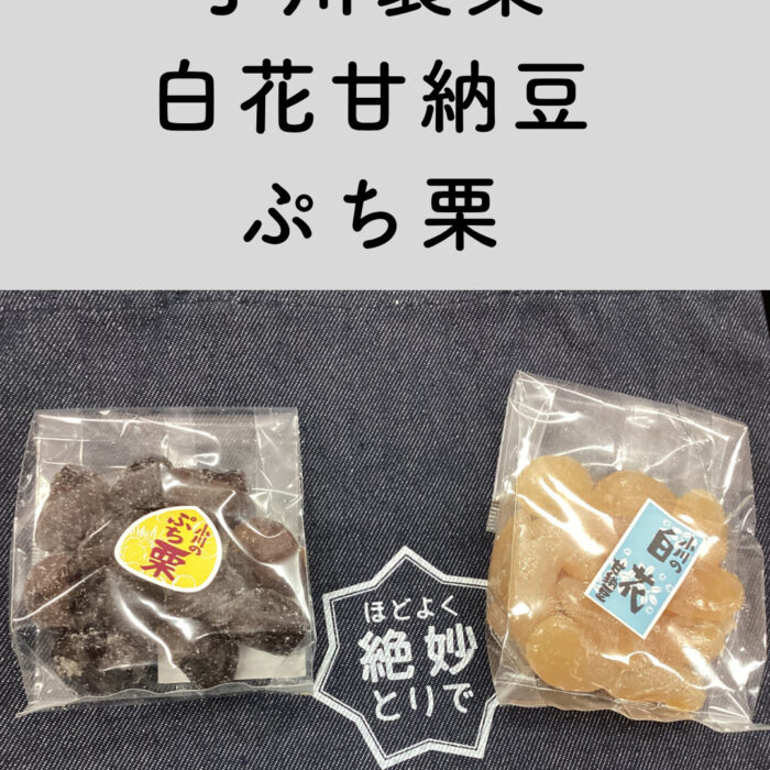 中高生が紹介！取手の銘菓①　小川製菓さん
