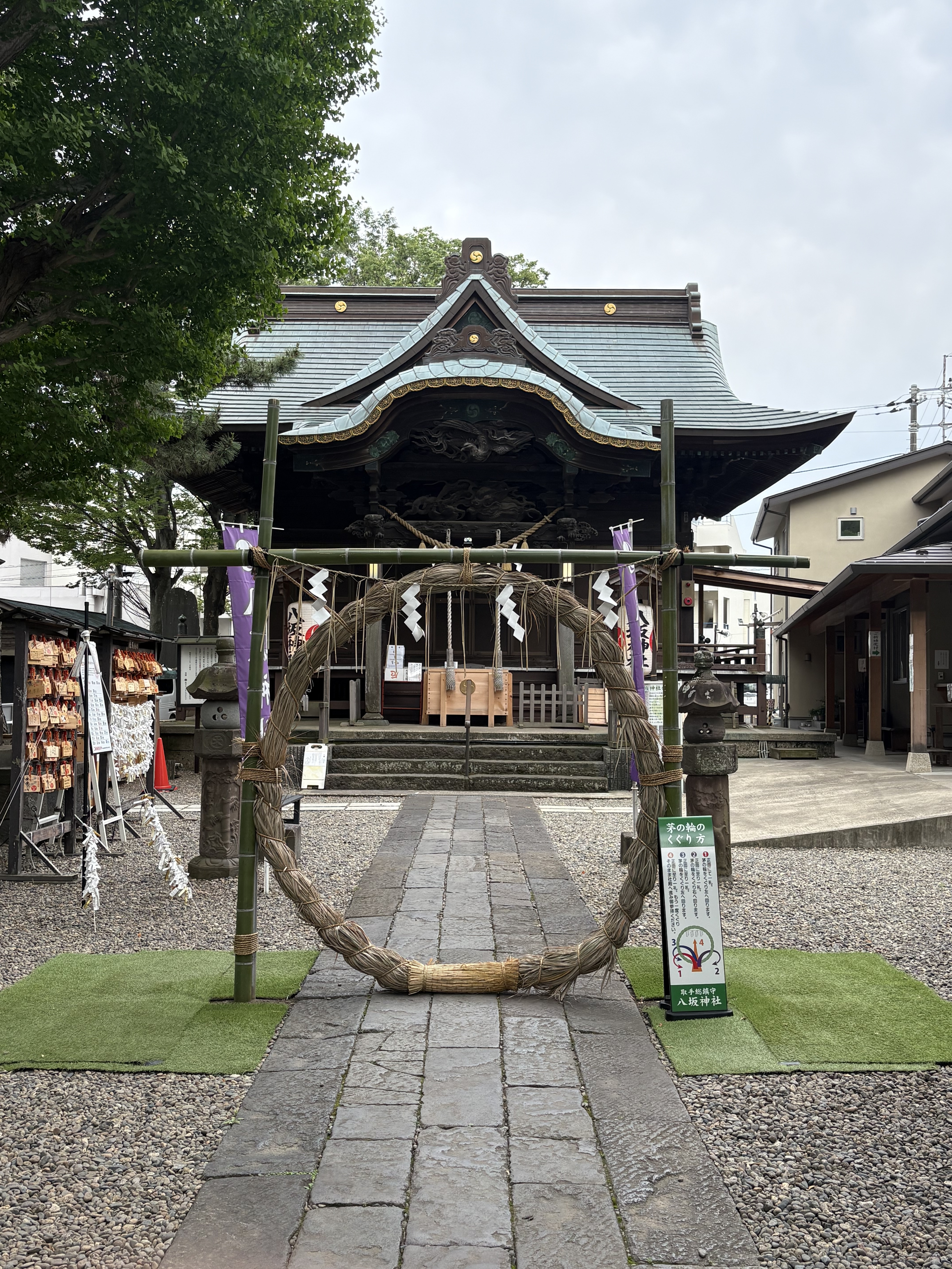 芽の輪