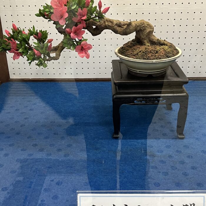 取手駅構内