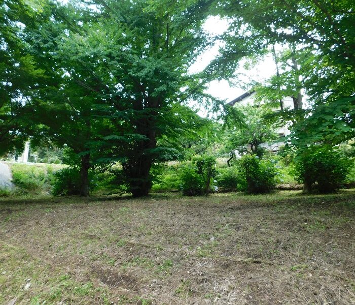 新四国相馬霊場巡り４９「アルスの森アジサイ公園・神の松」
