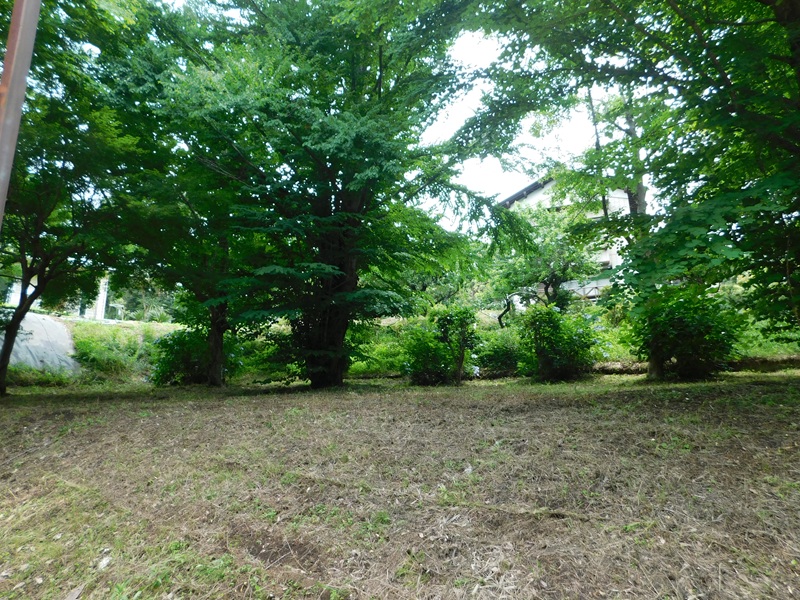 新四国相馬霊場巡り４９「アルスの森アジサイ公園・神の松」