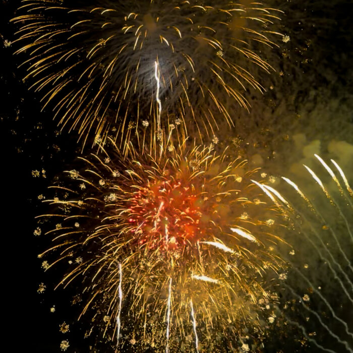 今年もこの場所で