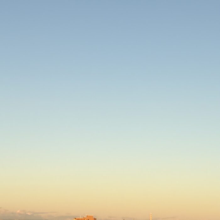 朝の月