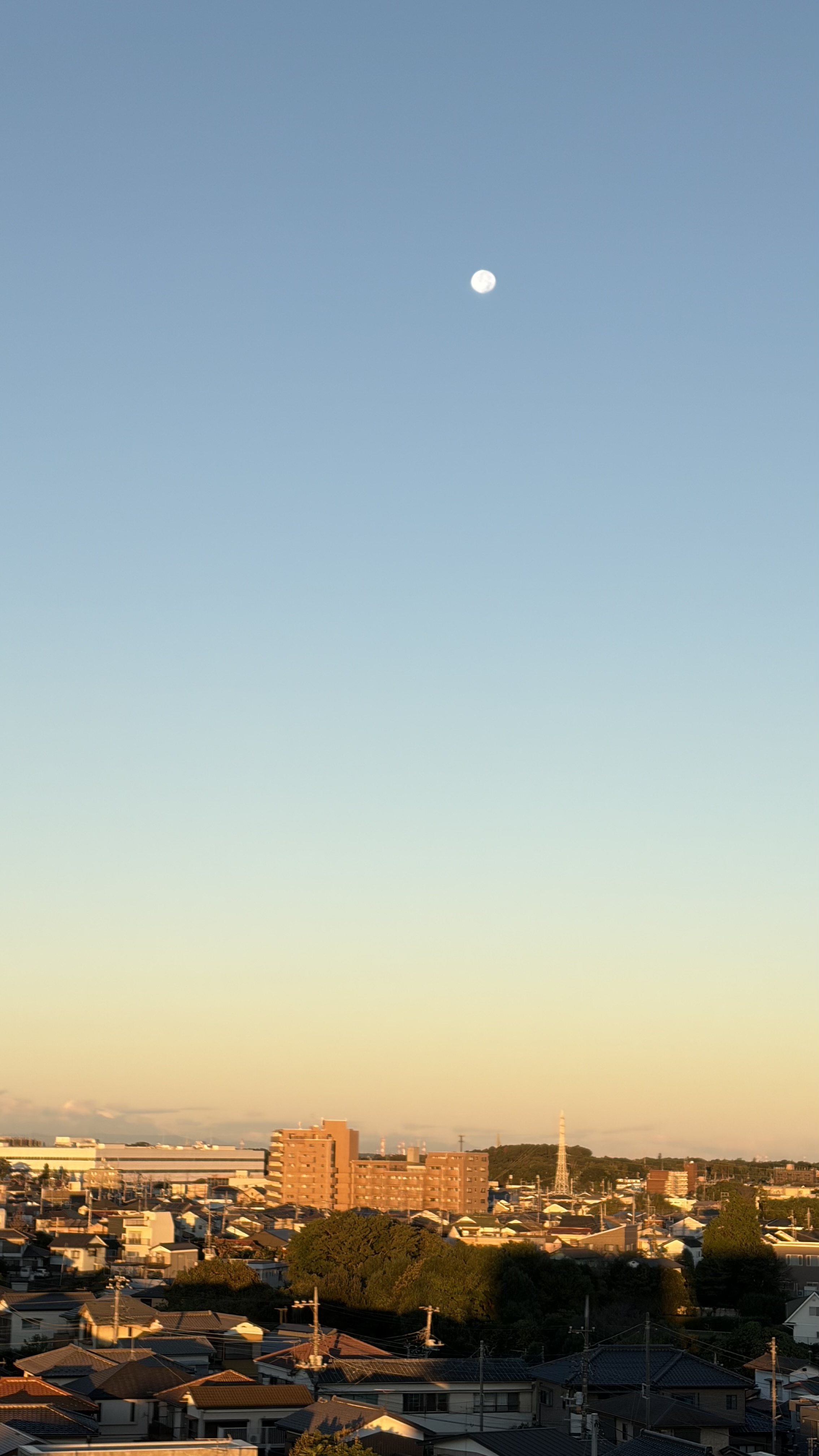 朝の月